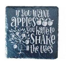 The Apple Tree Coaster